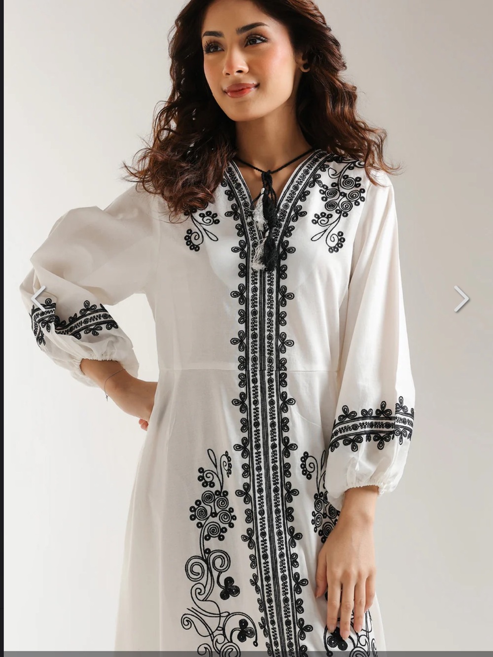 nwt ethnc embroidered dress